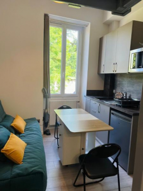 Studio Georges 1er